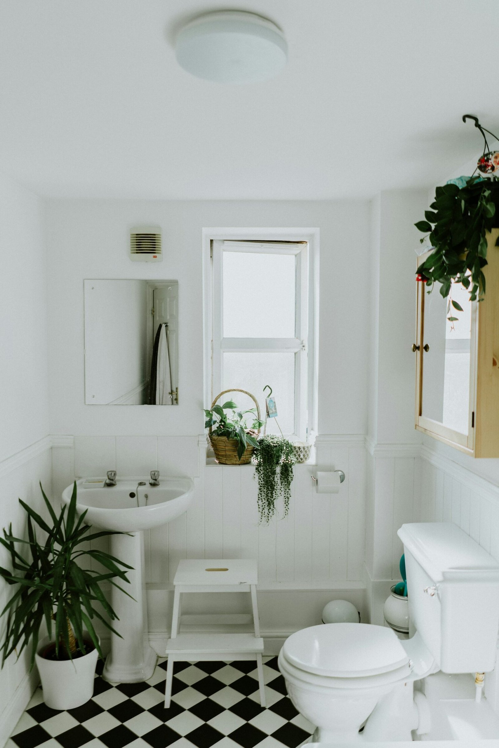 Bathroom Remodeling in Potomac MD - Walk-In Shower - AmeriPro Remodeling